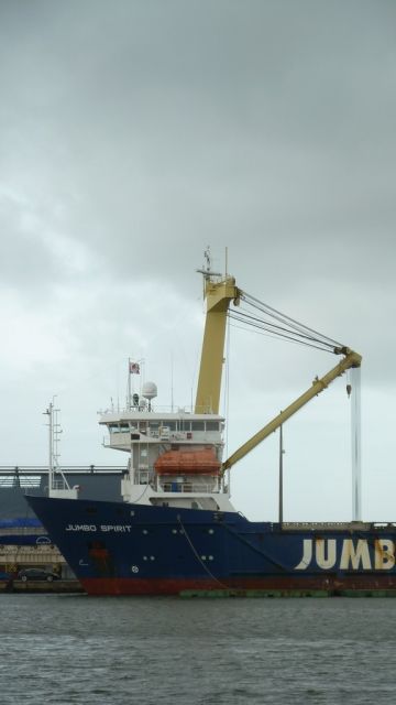 Bulbe Jumbo Spirit - 26 decembre 2012.JPG